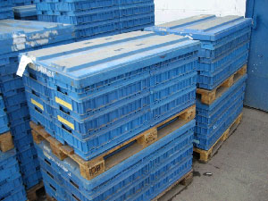 Imagen 3