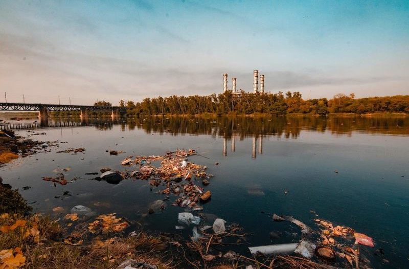 Microplásticos: la amenaza silenciosa ya llega a los ecosistemas naturales  imagen 1