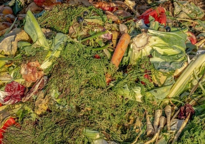 Cataluña obtiene de sus residuos más de 300.000 toneladas de compost cada año imagen 1