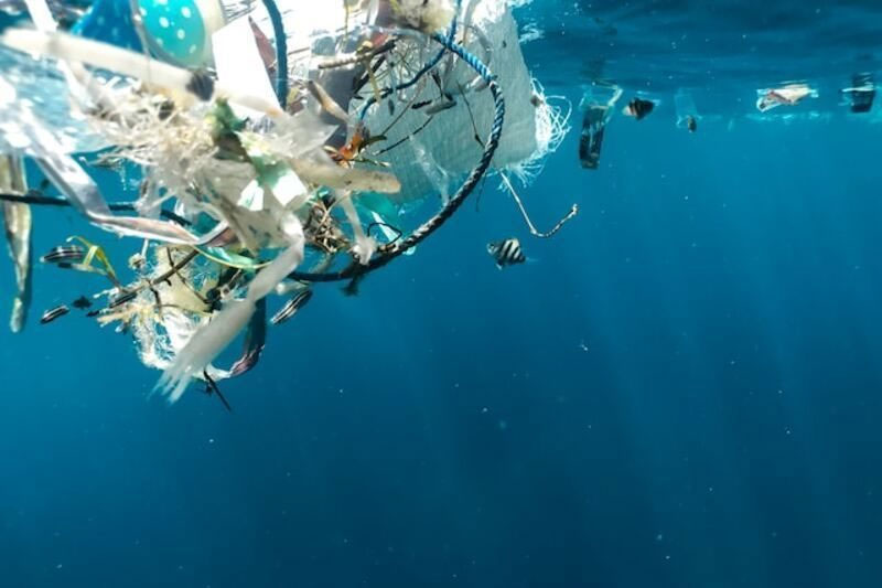 Madrid acoge la primera exposición sobre basuras marinas imagen 1
