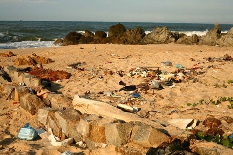 Baleares: Retirados casi 5.700 kilos de residuos del litoral solo en el mes de junio imagen 1
