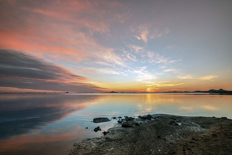 Investigan cómo reutilizar residuos extraídos del mar Menor para elaborar biocombustible imagen 1