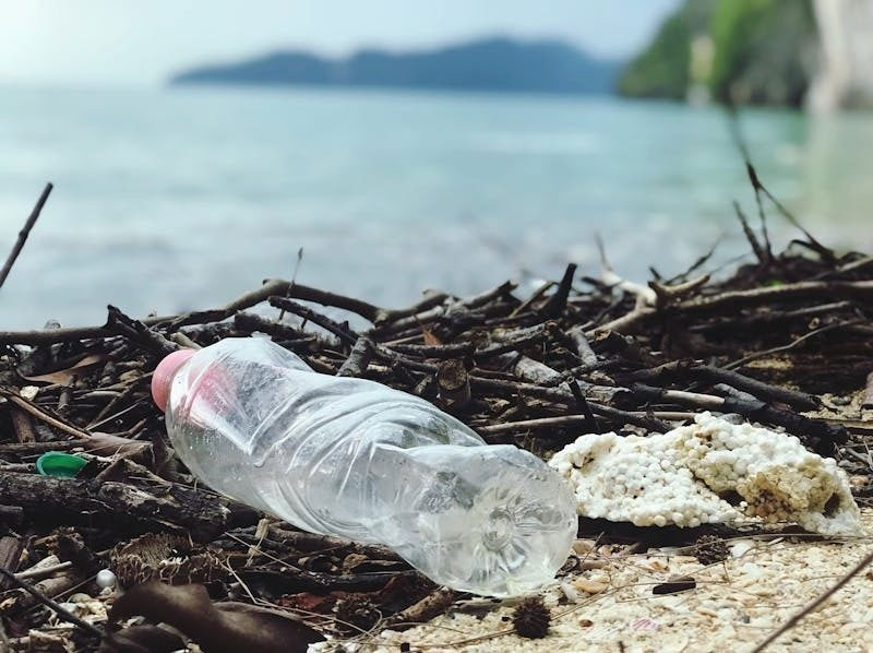 El residuo que no cesa: ¿por qué no disminuyen los plásticos en el mar?  imagen 1