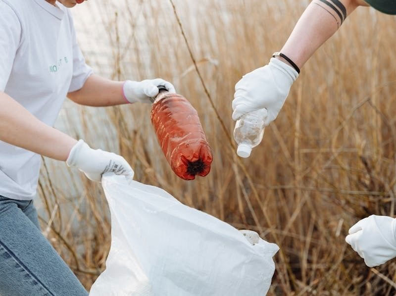 8 de cada 10 españoles apoyan la prohibición mundial de plásticos, según WWF  imagen 1