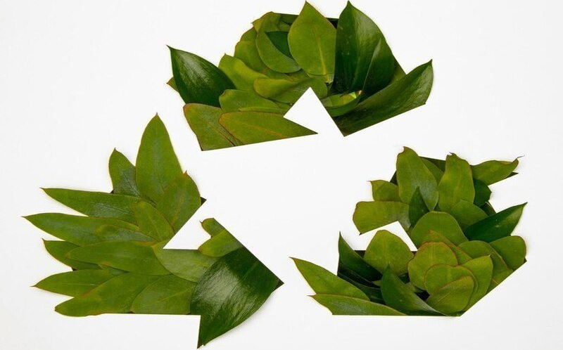 Investigadores españoles obtienen plástico biodegradable a partir de residuos de poda imagen 1