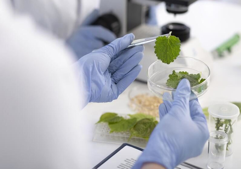 Optimización de las propiedades funcionales de bioplásticos mediante nuevos procesos para su uso en envases imagen 1