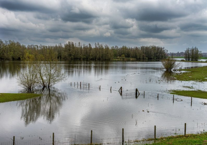 Estado climático en Europa: contraste este-oeste y eventos de inundaciones extensas durante el año más cálido registrado imagen 1