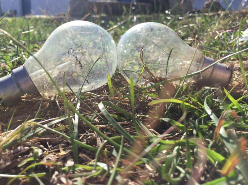 España apuesta por la innovación en conversión de residuos en energía imagen 1