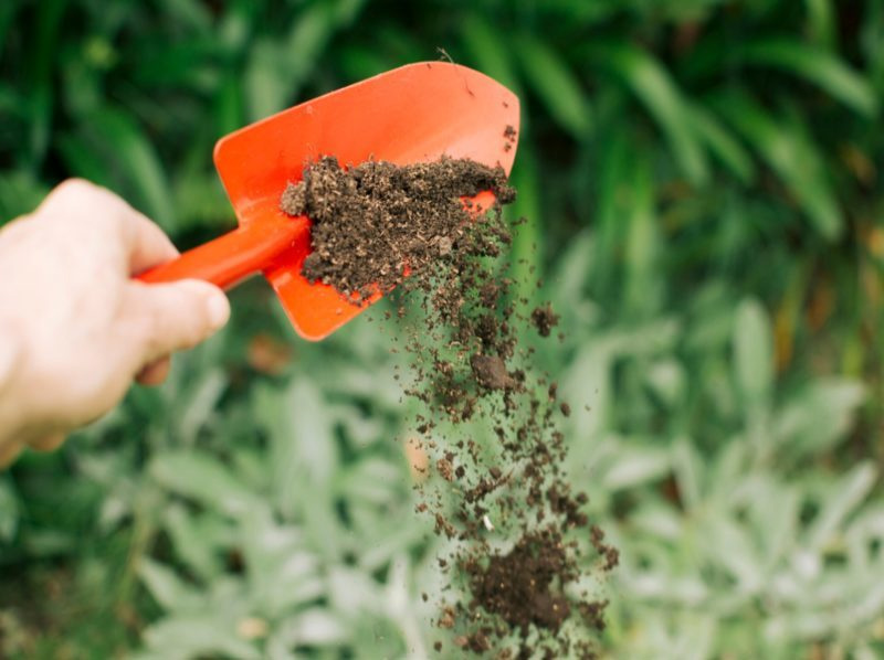 Barcelona transforma la fracción orgánica para ofrecer fertilizantes a medida a la agricultura local imagen 1