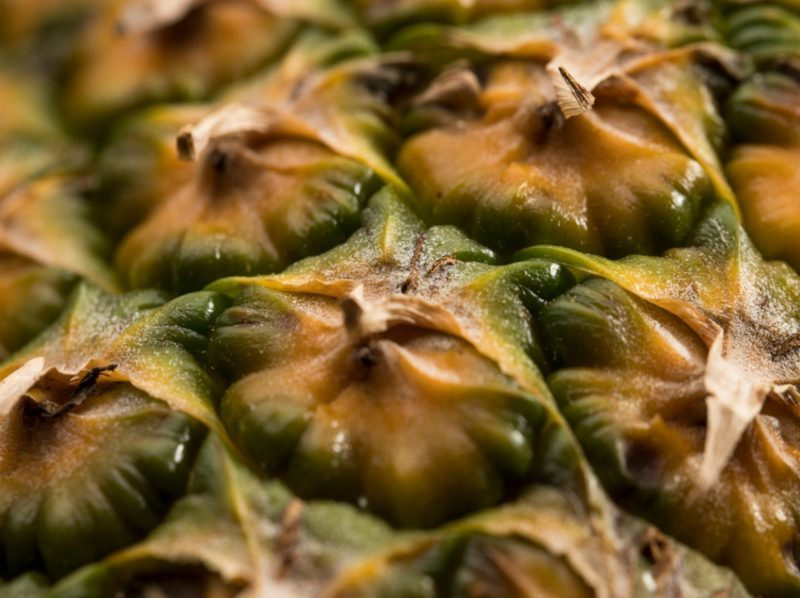 Nanofibras de piña transforman suelos áridos: de residuo a recurso agrícola imagen 1