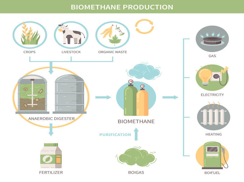 Navarra: ¿Suficiencia de residuos para los proyectos de biometanización? imagen 1