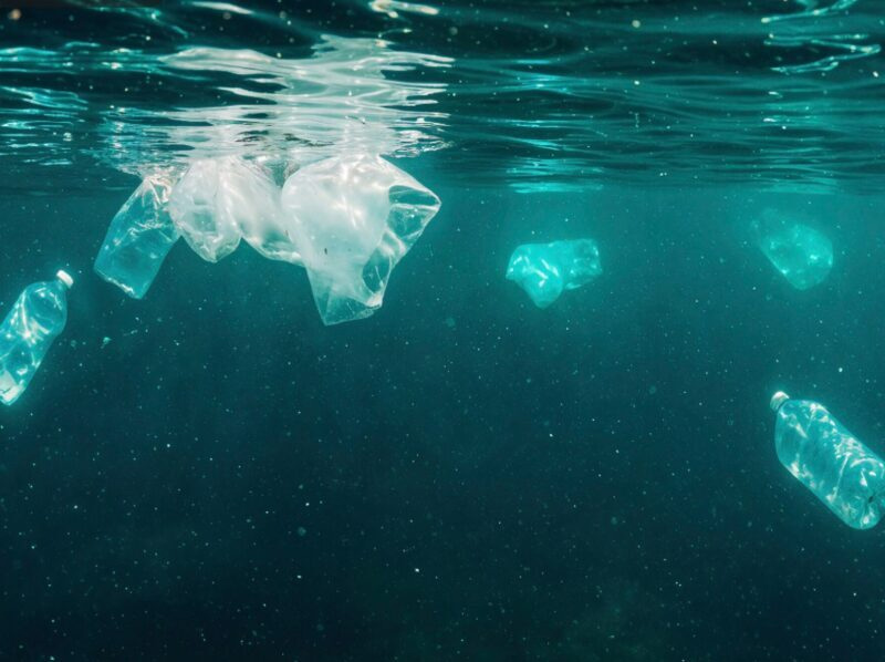 Un proyecto español OCEANZYME investiga el reciclado enzimático de residuos plásticos marinos imagen 1