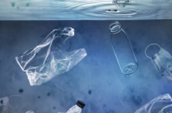 7 puertos de Alicante impulsan una innovadora iniciativa para transformar residuos marinos en material reciclado