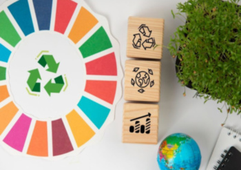 Las 4 erres del reciclaje: una guía para consumir y desechar con conciencia ambiental