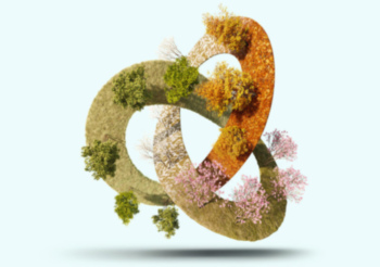 Embalajes sostenibles a partir de residuos agrícolas: la UCA y el proyecto OLICOMP3D como modelo de economía circular