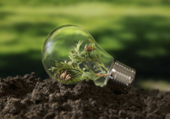 Innovación en economía circular: UNIST transforma residuos solares para una producción ambientalmente responsable de amoníaco