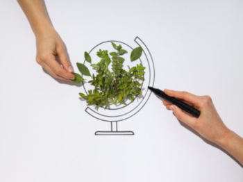 Valorización avanzada de biomasa en el marco de la economía circular