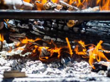 Carbón vegetal para barbacoas: trozos más limpios que briquetas, muchas muestras incumplen la normativa europea