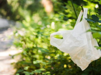 AIMPLAS amplía su reconocimiento internacional para certificar plásticos biodegradables en Australia y Japón