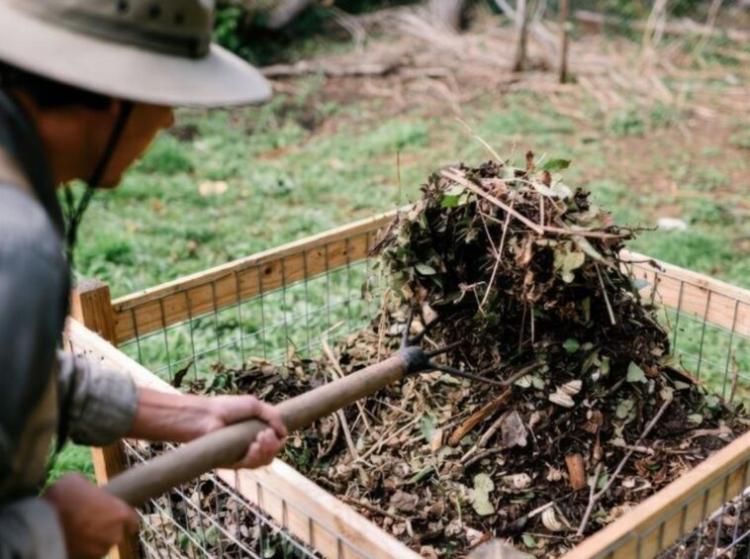 El proyecto NEWPOWER desarrolla biorrefinerías para valorizar residuos agroforestales